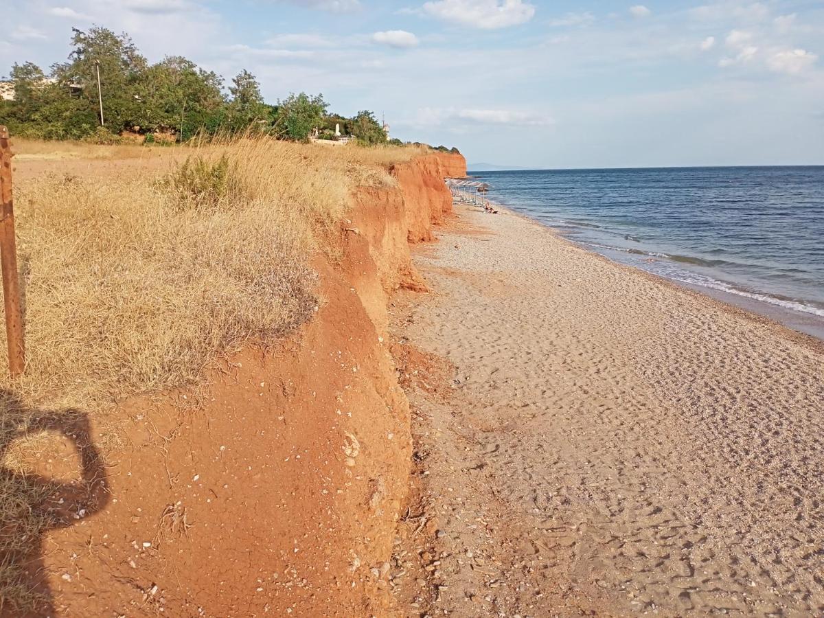 شقة Semi-Basement 250M From Sea, Nea Chili أليكسانثيربوليس المظهر الخارجي الصورة